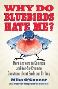 bokomslag Why Do Bluebirds Hate Me?