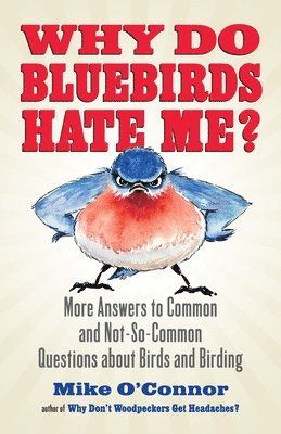 Why Do Bluebirds Hate Me? 1