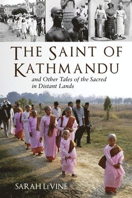Sarah Levine - The Saint of Kathmandu, Häftad