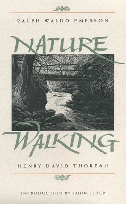 bokomslag Nature and Walking