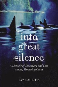 bokomslag Into Great Silence