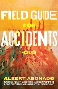 bokomslag Field Guide for Accidents