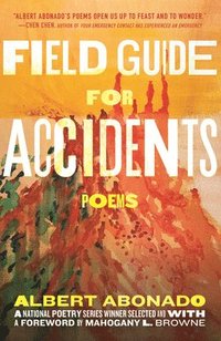 bokomslag Field Guide for Accidents