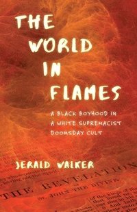 bokomslag World in Flames
