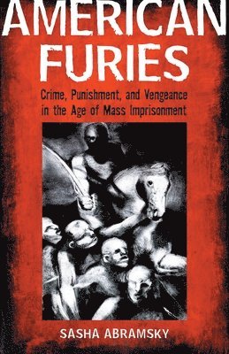 bokomslag American Furies