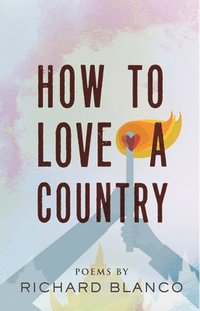 bokomslag How to Love a Country