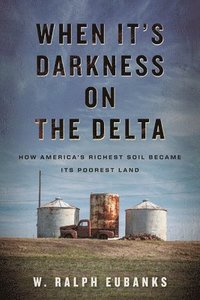 bokomslag When It's Darkness on the Delta