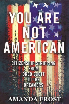 Amanda Frost - You Are Not American, Inbunden
