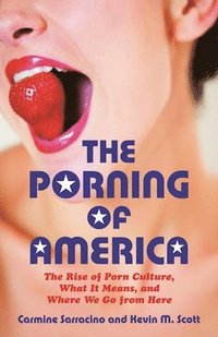 bokomslag The Porning of America