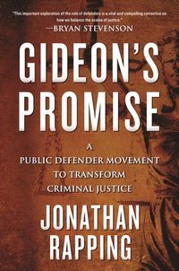bokomslag Gideon's Promise