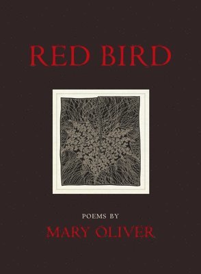 Red Bird 1