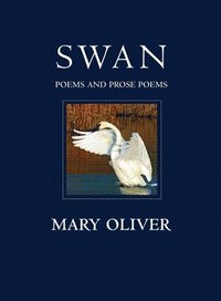 bokomslag Swan