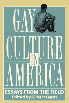 Gilbert Herdt - Gay Culture in America, Häftad