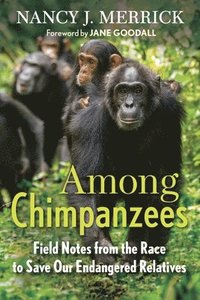 bokomslag Among Chimpanzees: Field Notes from the Race to Save Our Endangered Relatives
