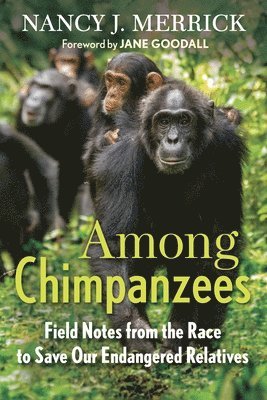 bokomslag Among Chimpanzees: Field Notes from the Race to Save Our Endangered Relatives