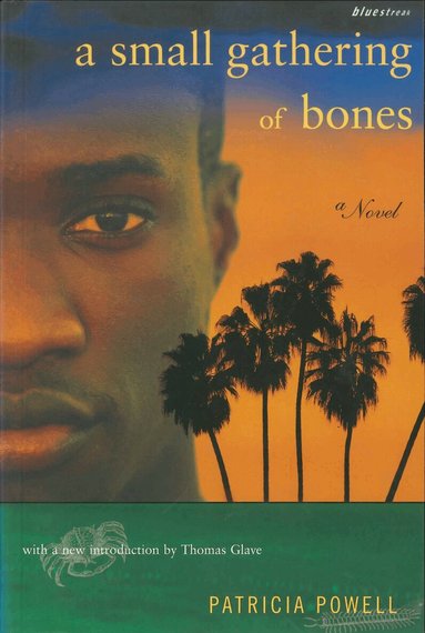 Patricia Powell - Small Gathering of Bones, Häftad