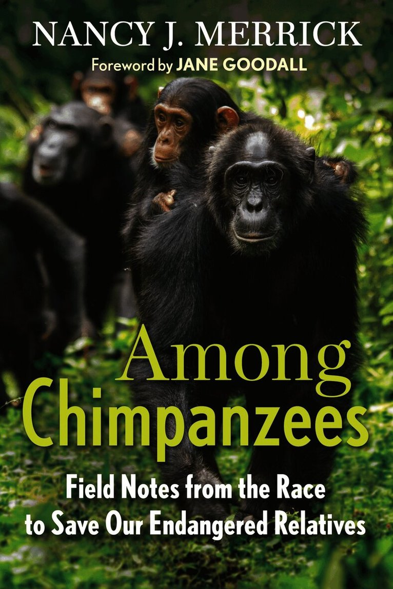 Among Chimpanzees