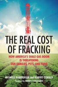bokomslag The Real Cost of Fracking