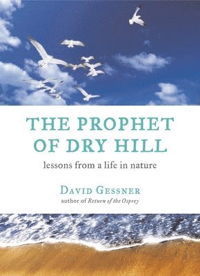 bokomslag Prophet of Dry Hill