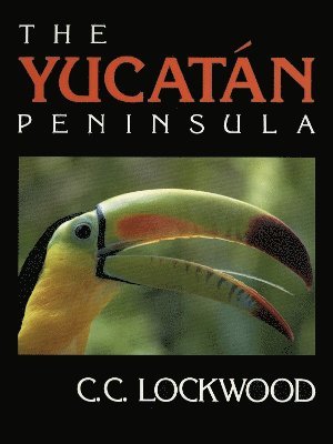 bokomslag The Yucatan Peninsula