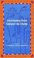 Journeying from Canyon de Chelly 1