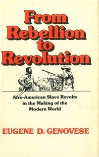 bokomslag From Rebellion to Revolution