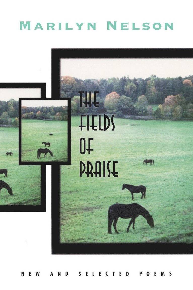 The Fields of Praise 1