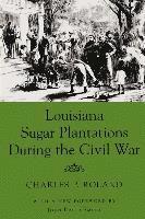 bokomslag Louisiana Sugar Plantations During the Civil War
