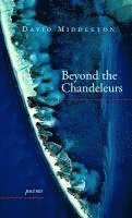 bokomslag Beyond the Chandeleurs