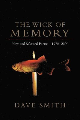 bokomslag The Wick of Memory