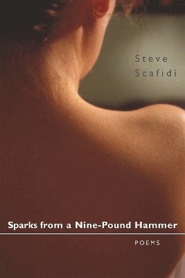 Sparks from a Nine-Pound Hammer 1