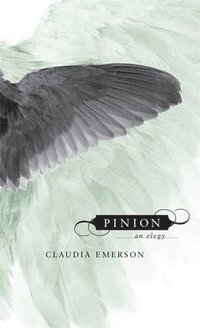 bokomslag Pinion