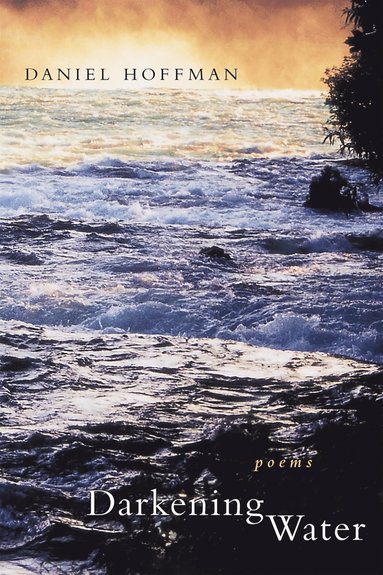 bokomslag Darkening Water