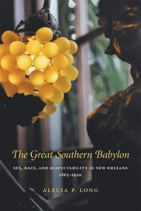 bokomslag The Great Southern Babylon