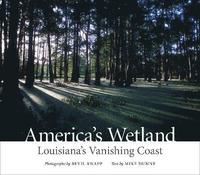 bokomslag America's Wetland