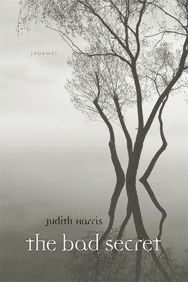 Judith Harris - Bad Secret, Häftad