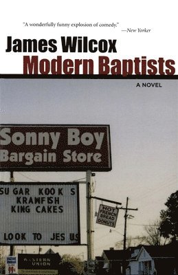 James Wilcox - Modern Baptists, Häftad