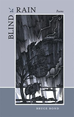 Blind Rain 1