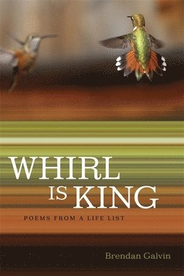 Whirl Is King