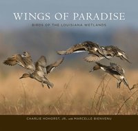 bokomslag Wings of Paradise