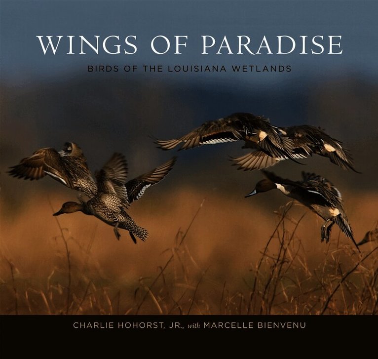 Charlie Hohorst Jr, Charlie Hohorst - Wings of Paradise, Inbunden