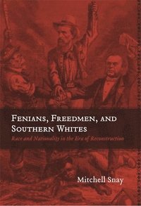 bokomslag Fenians, Freedmen, and Southern Whites