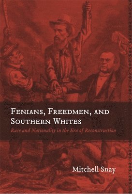bokomslag Fenians, Freedmen, and Southern Whites