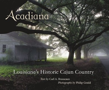 bokomslag Acadiana