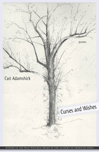 bokomslag Curses and Wishes