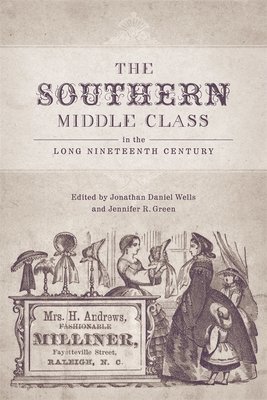 bokomslag The Southern Middle Class in the Long Nineteenth Century