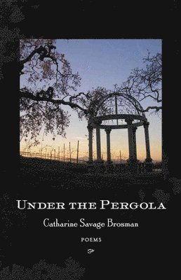 Under the Pergola 1