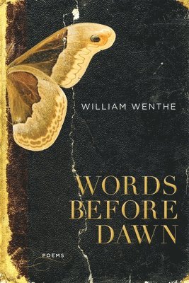 Words Before Dawn 1