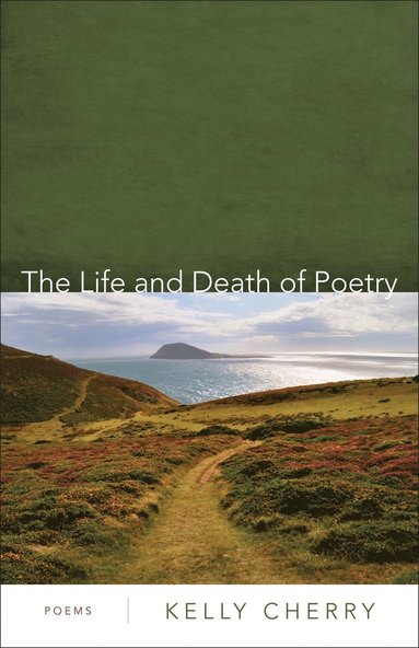 bokomslag Life and Death of Poetry