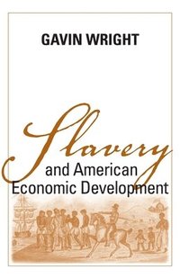 bokomslag Slavery and American Economic Development